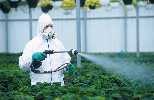 Nanopesticides: แนวทางใหม่หรือเป็นภัยคุกคามใหม่หรือไม่? 