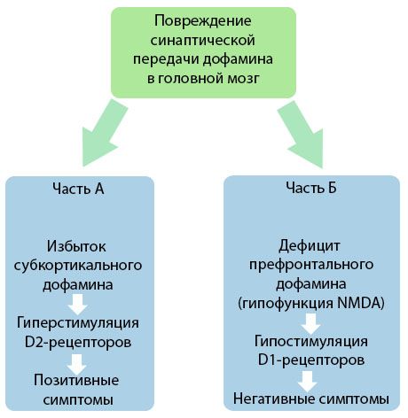 การเผาผลาญ dopamine เมทริกซ์ในโรคทางจิต