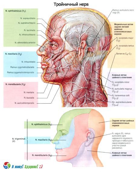 ประสาท Ternary